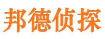 道真市私家侦探